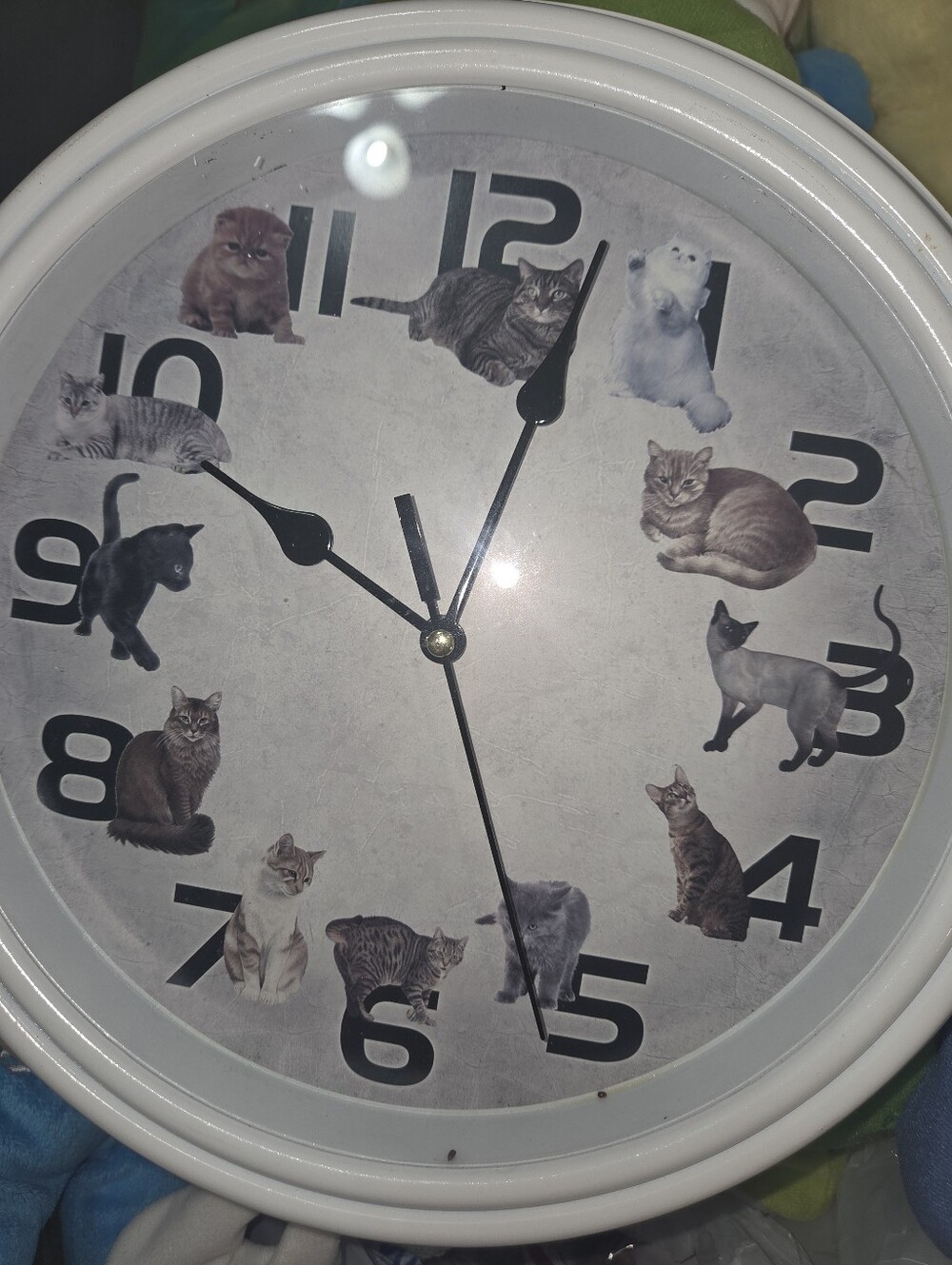 Betterware Cats Wall Clock Meows On The Hour Works Gift Needs Batteries